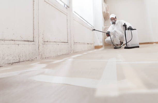 24/7 Emergency Crawl Space Mold Remediation experts in Nunn, CO