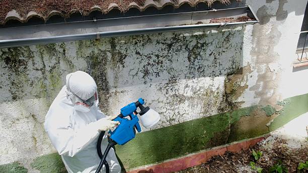 Top rated local Crawl Space Mold Remediation specialists in Nunn, CO